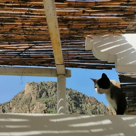 Casa Jardin. Vivienda Rural En Zona Tranquila.