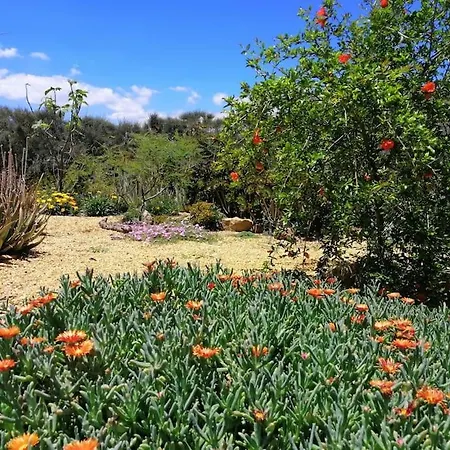Casa Jardin. Vivienda Rural En Zona Tranquila. Casa de Férias *